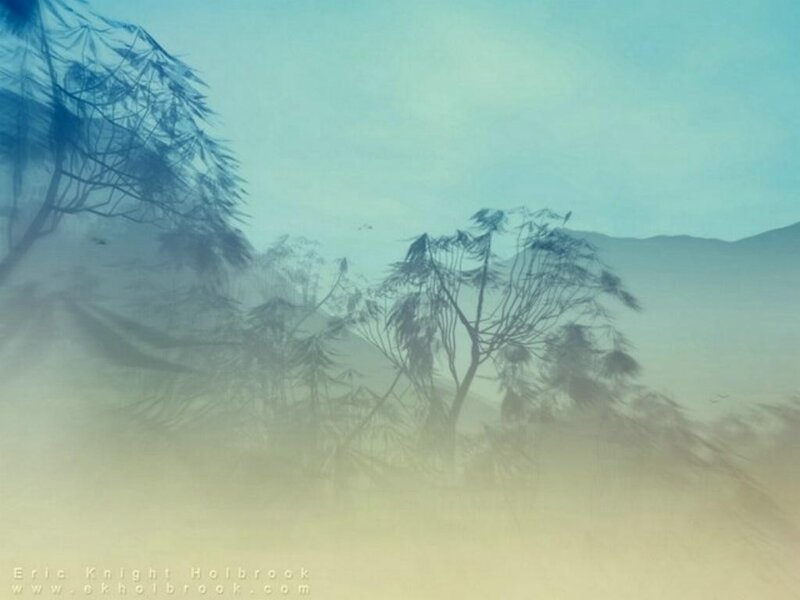 Misty forest landscape