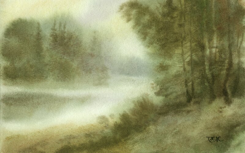 misty forest landscape
