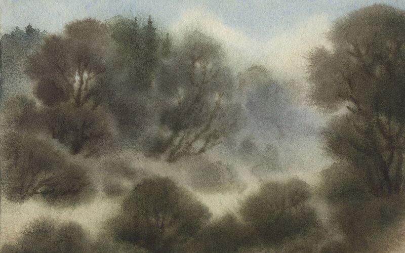 Misty Forest Landscape — Gray, Serene