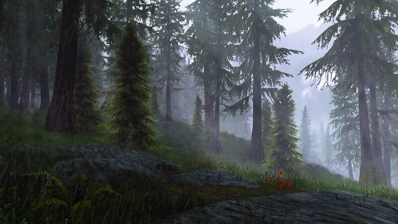 Misty Forest Landscape — Green, Morning