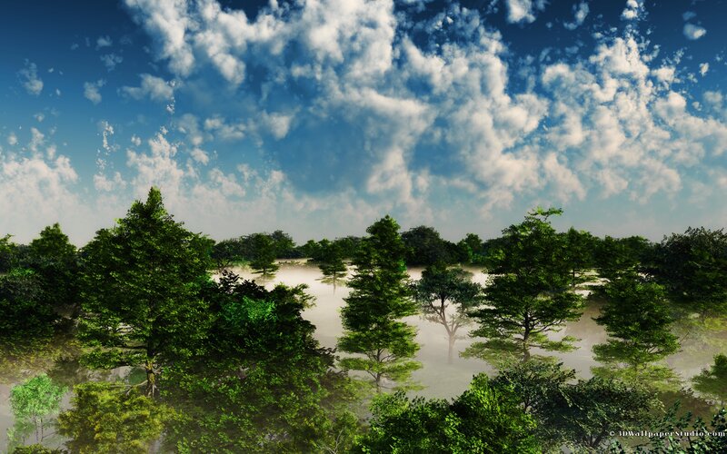 Misty Forest Landscape — Green, Serene