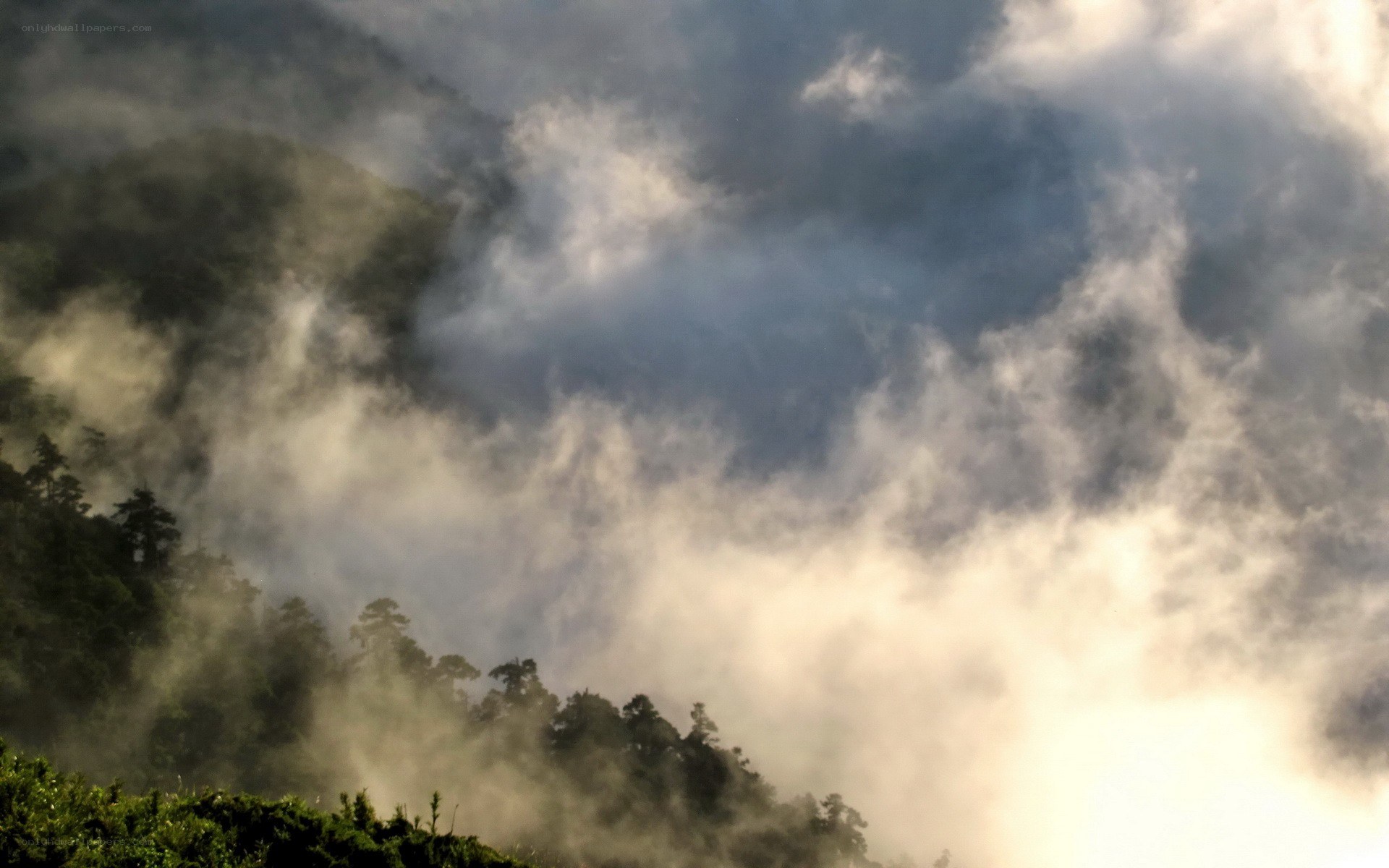 Misty forest mountain landscape
