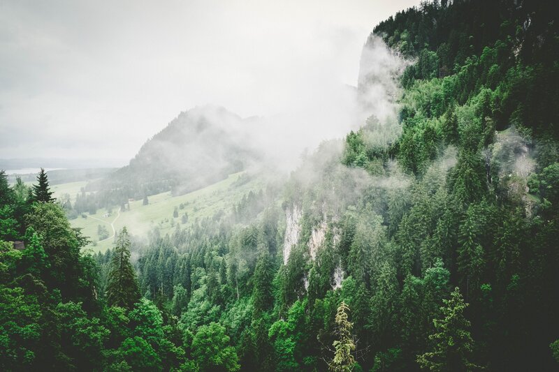 Misty forest mountain landscape