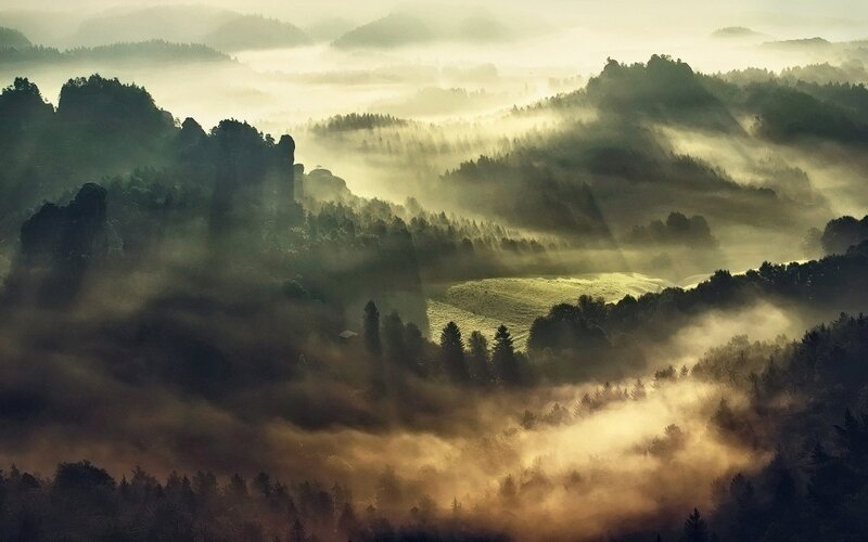 Misty Forest Mountains — Green