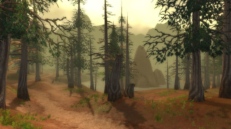 misty forest path