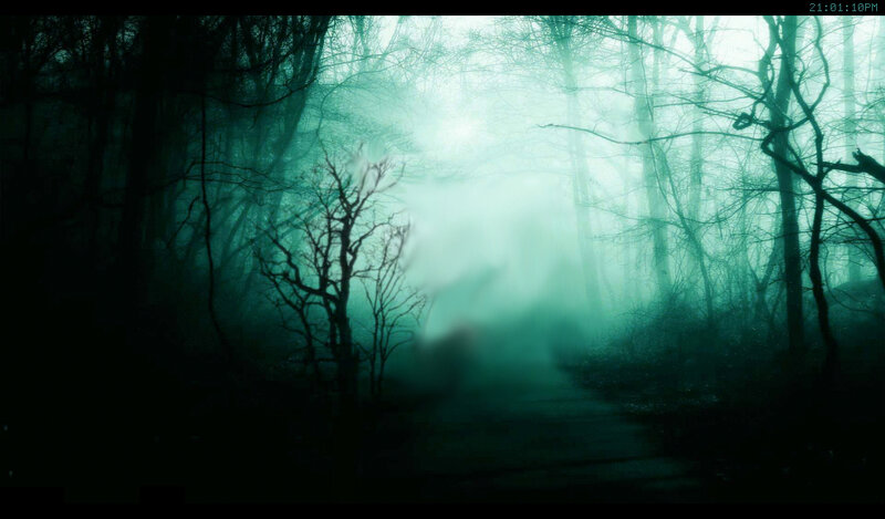 Misty forest path at night
