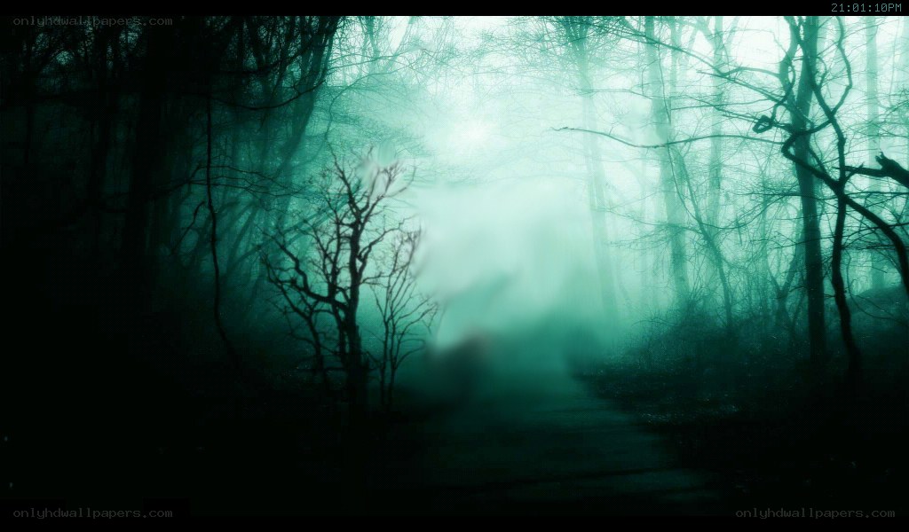 Misty forest path at night