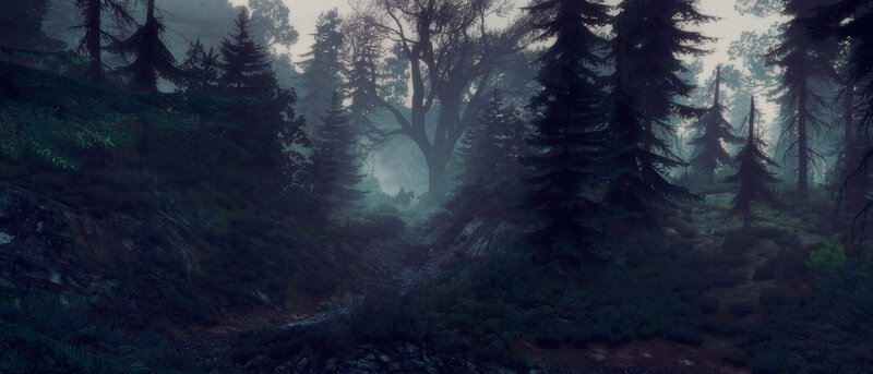 Misty Forest Path — Green, Mysterious, Night