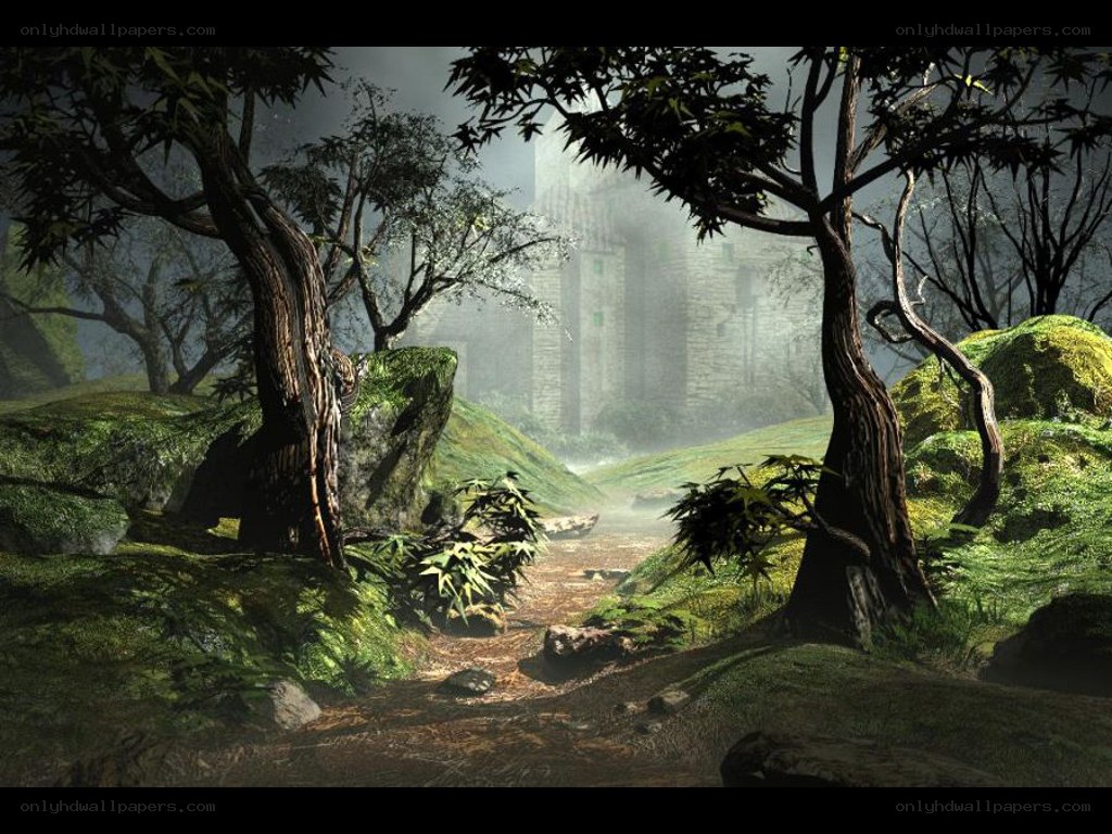 Misty forest path to castle