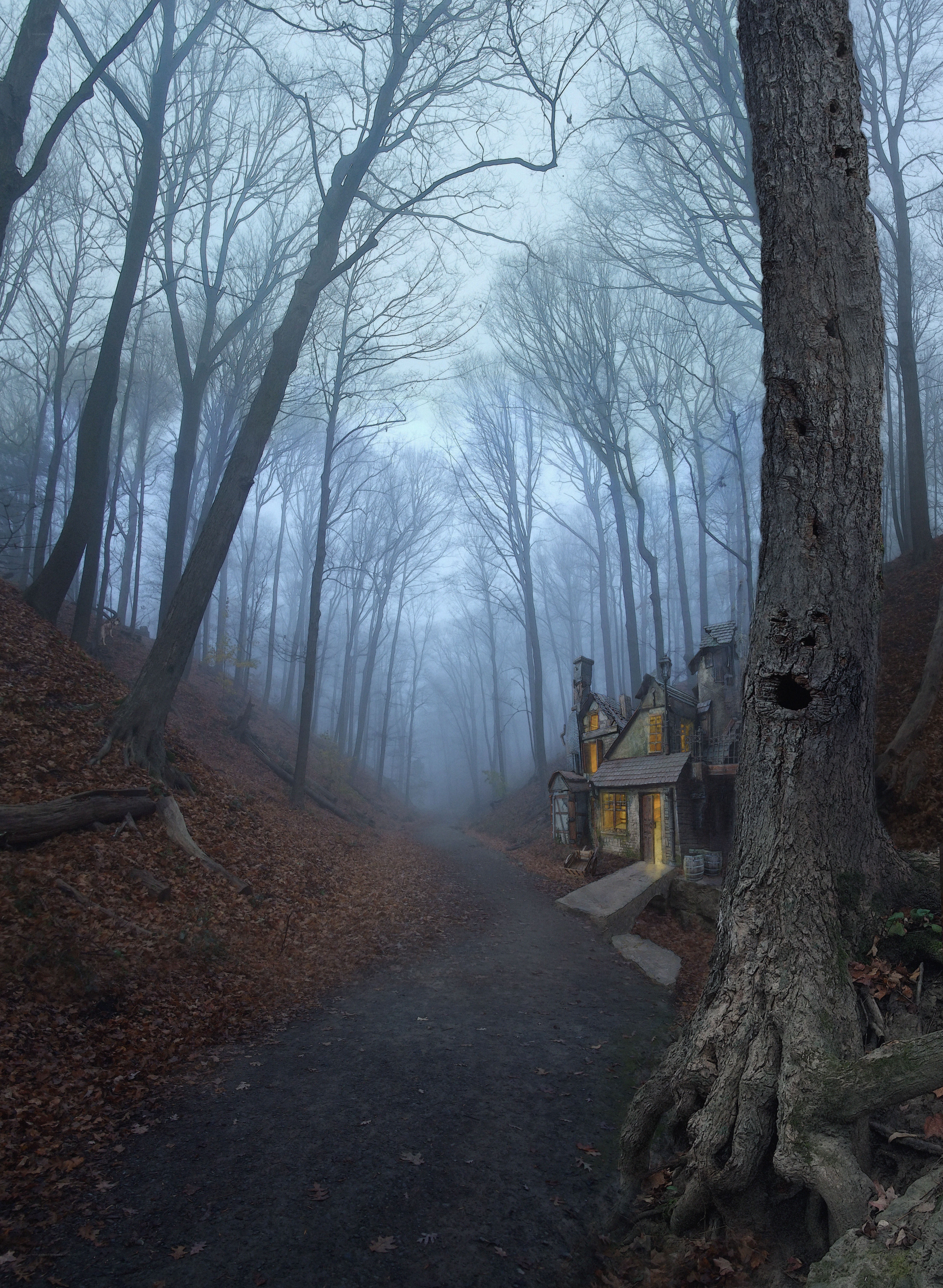 Misty forest path with cottage
