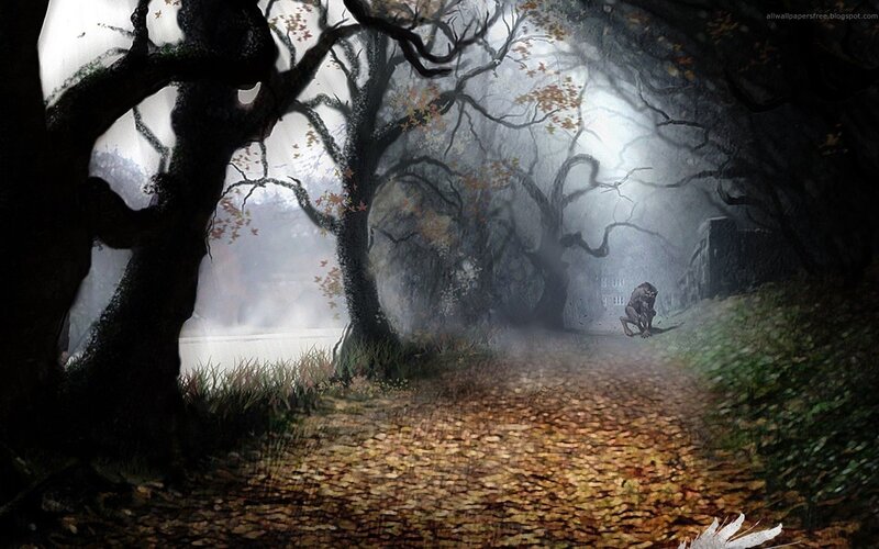 Misty forest path with creature