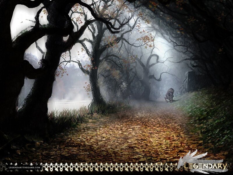 Misty forest path with creature