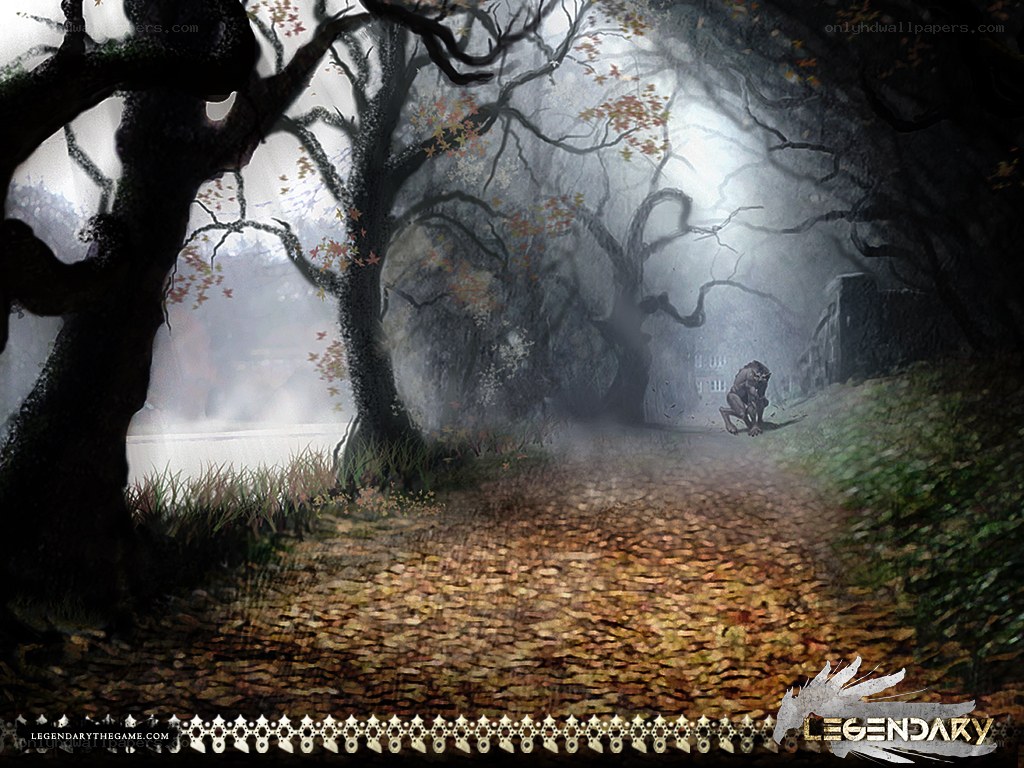 Misty forest path with creature