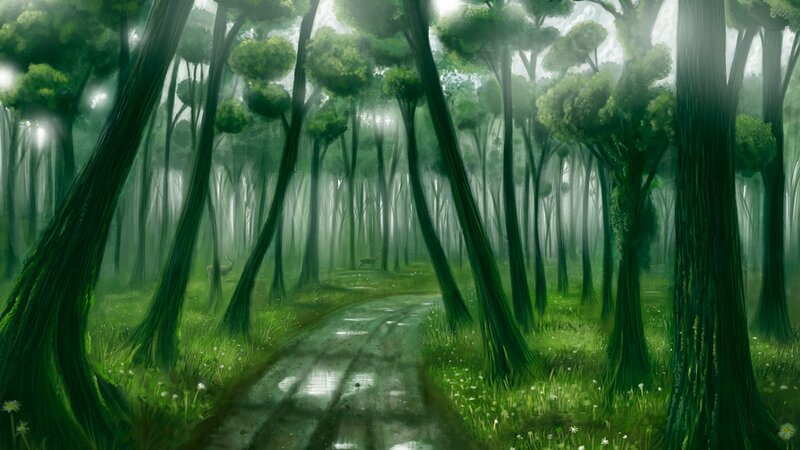 Misty forest path with deer