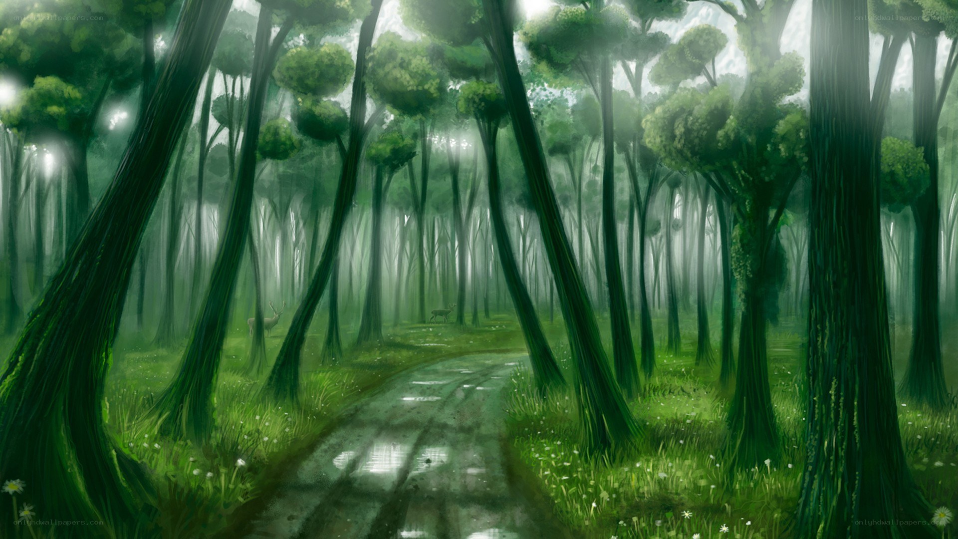 Misty forest path with deer