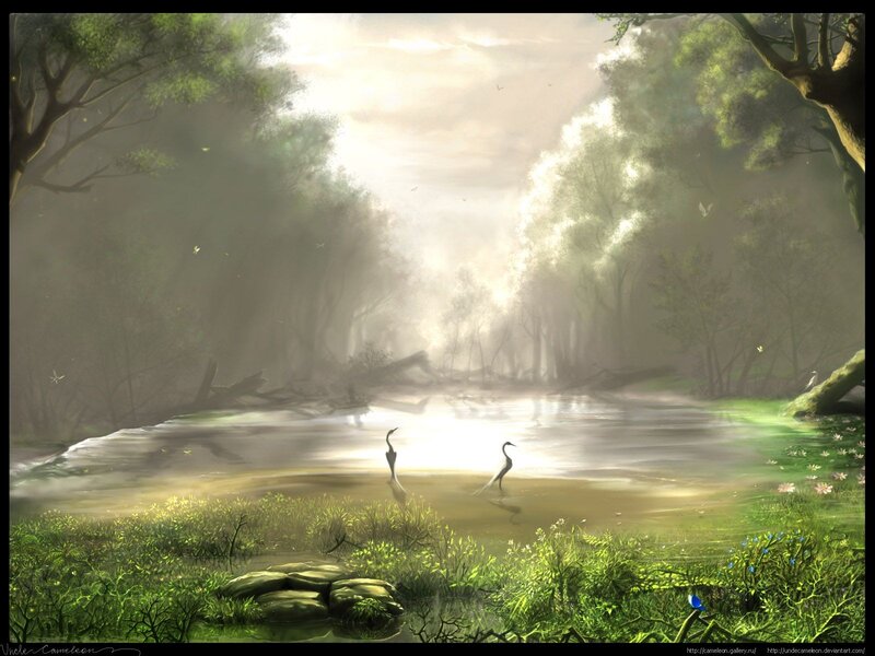 Misty forest pond scene