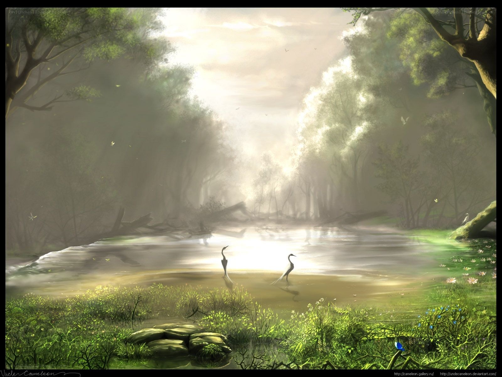 Misty forest pond scene
