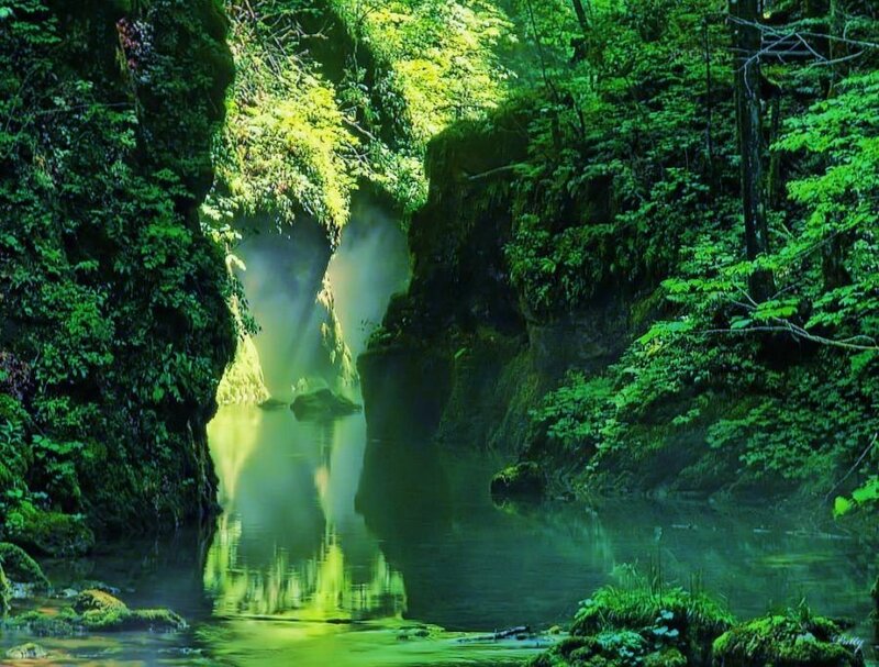 Misty forest river canyon