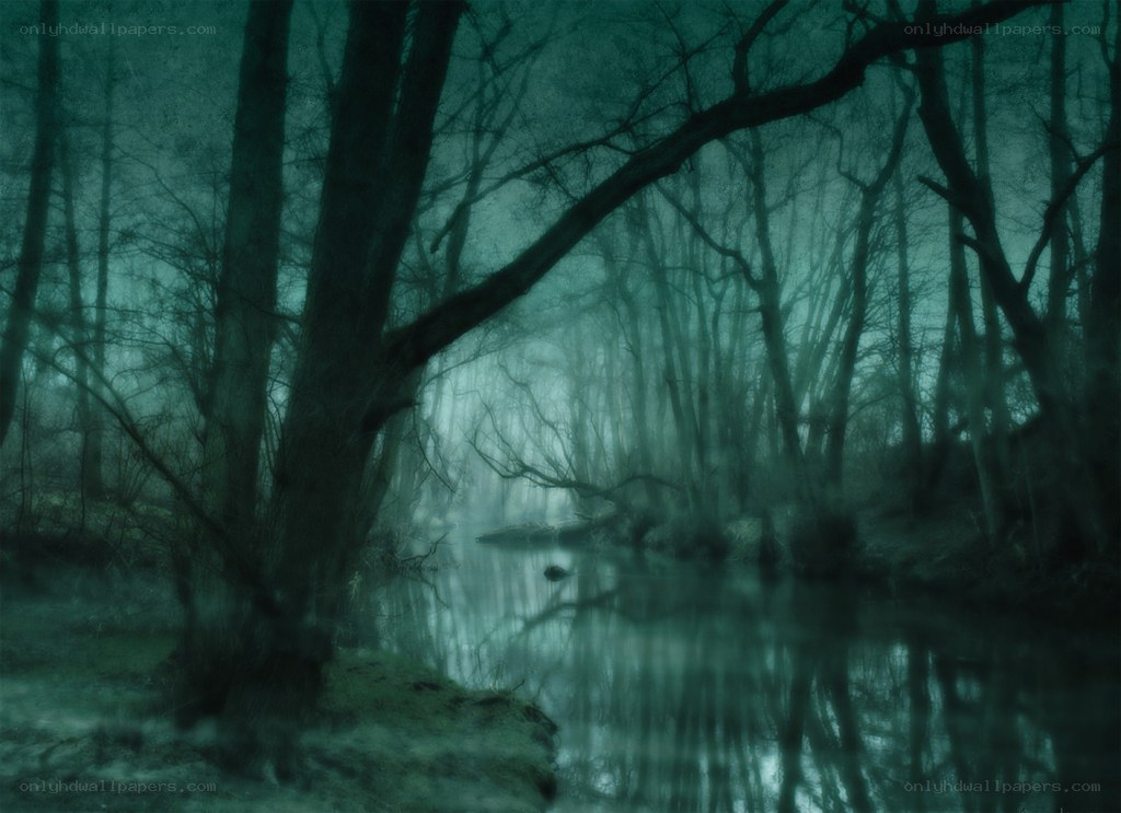 Misty forest river scene