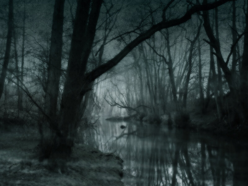 Misty forest river scene