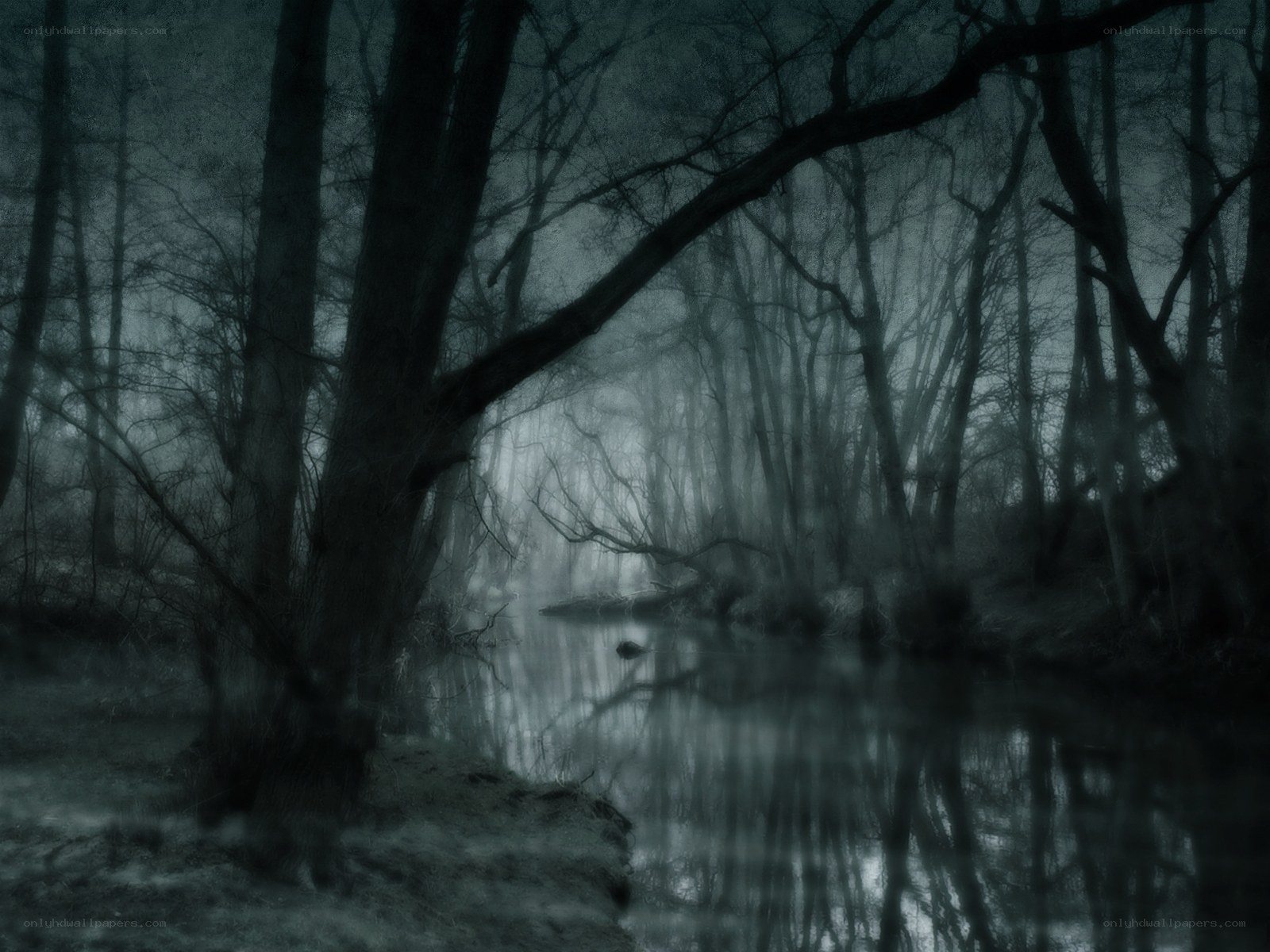 Misty forest river scene