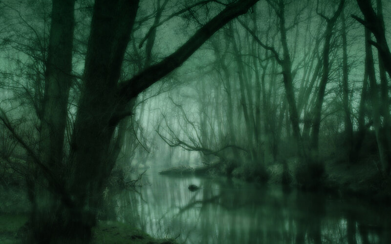 Misty forest river scene