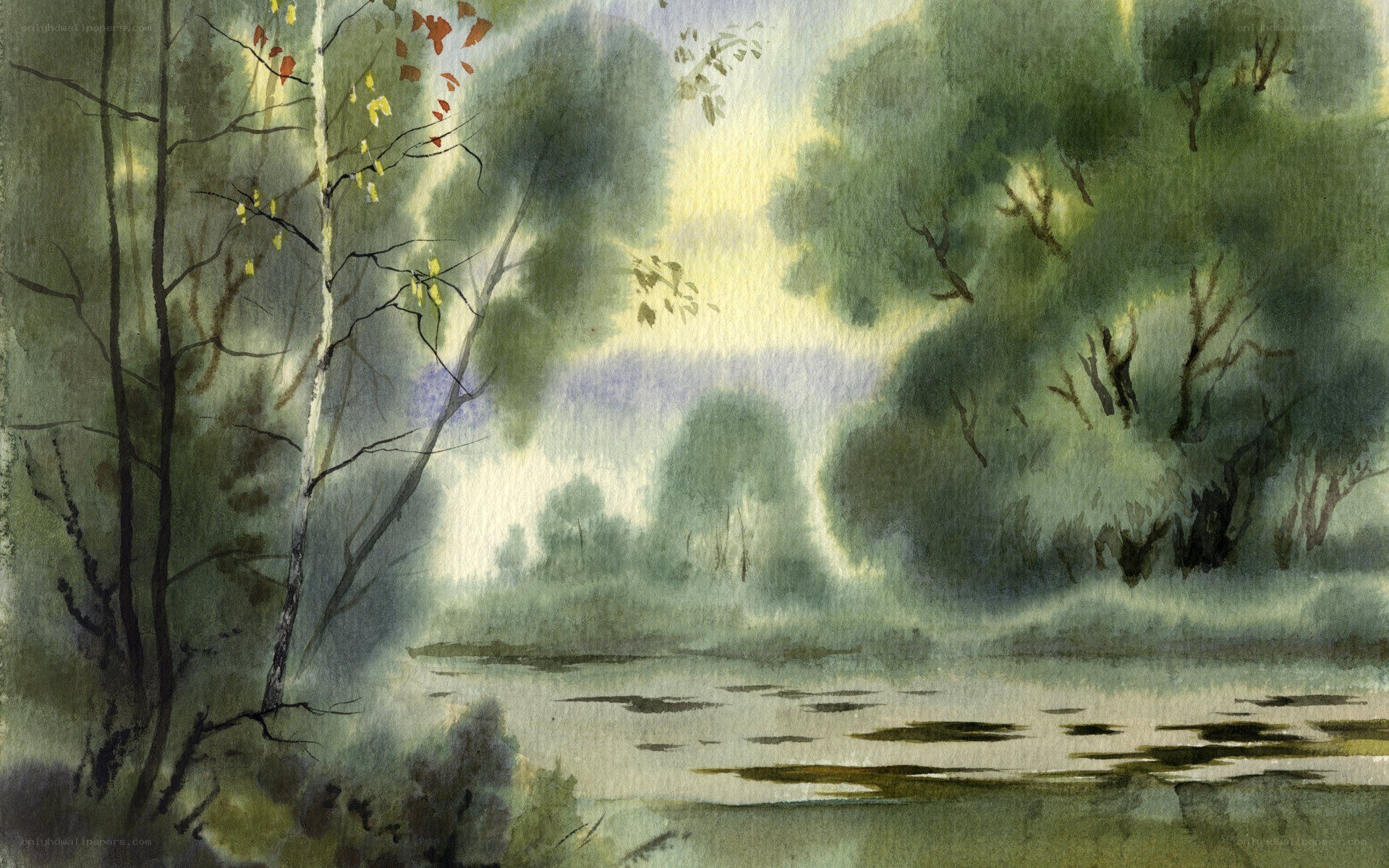 Misty forest river scene