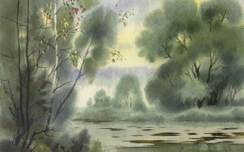 Misty forest river scene