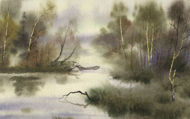 Misty forest river scene