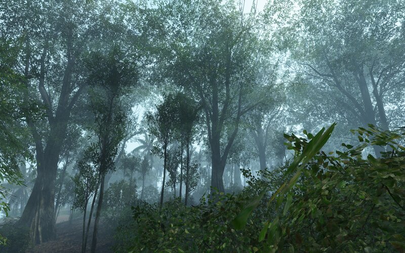 misty forest scene