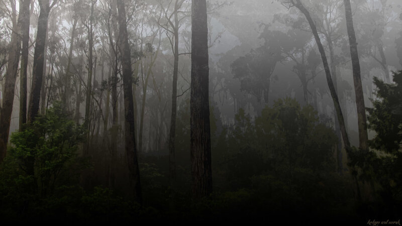 Misty forest scene