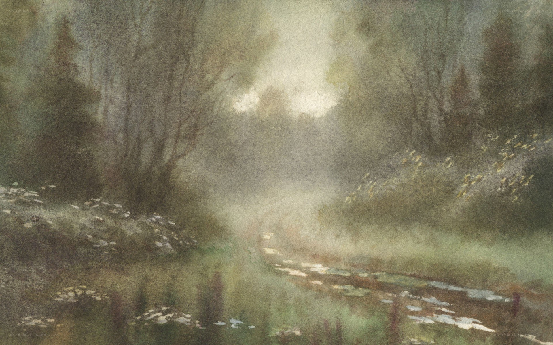 Misty forest stream