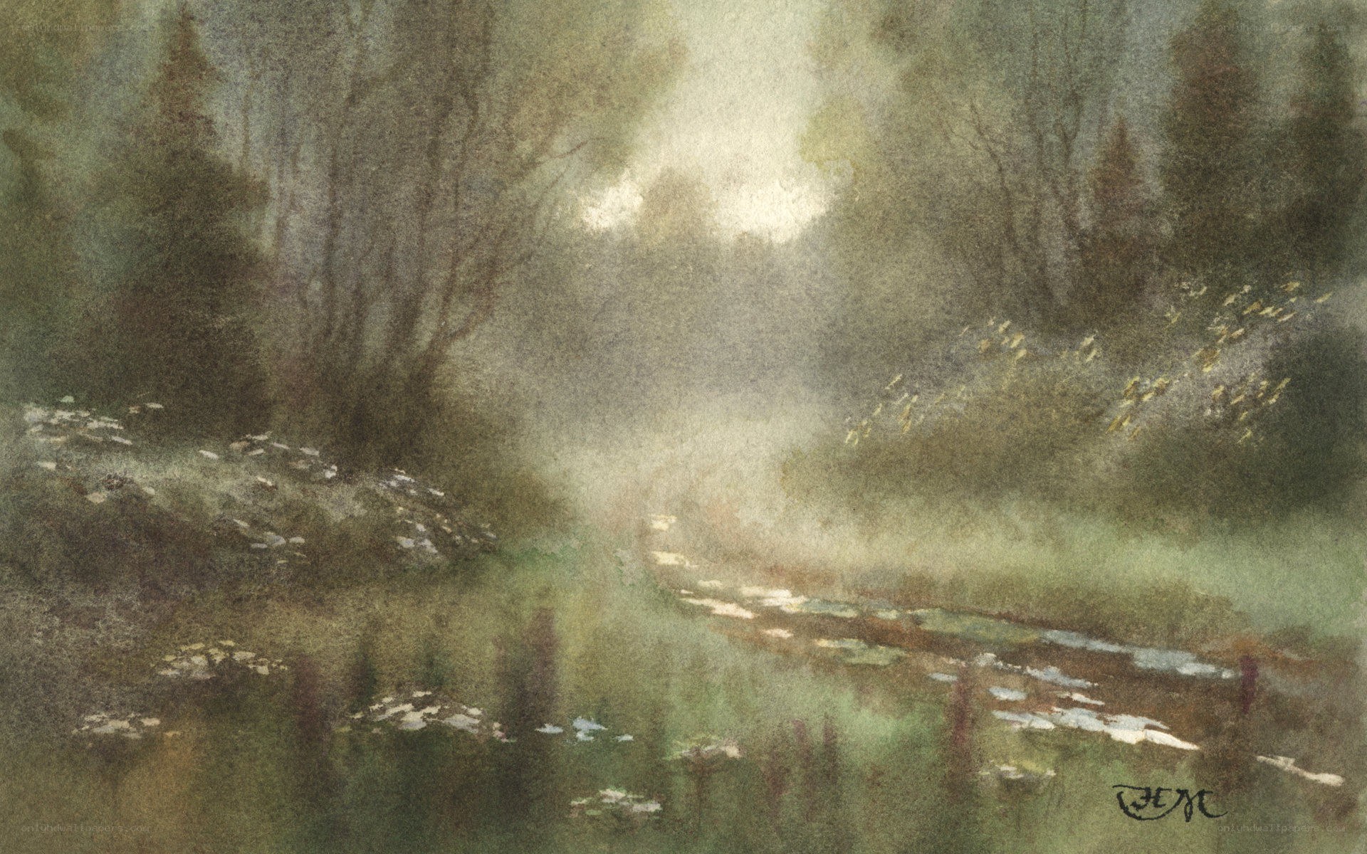 Misty forest stream