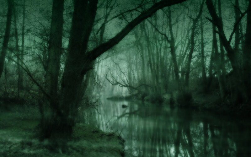 Misty Forest Stream — Green, Dark
