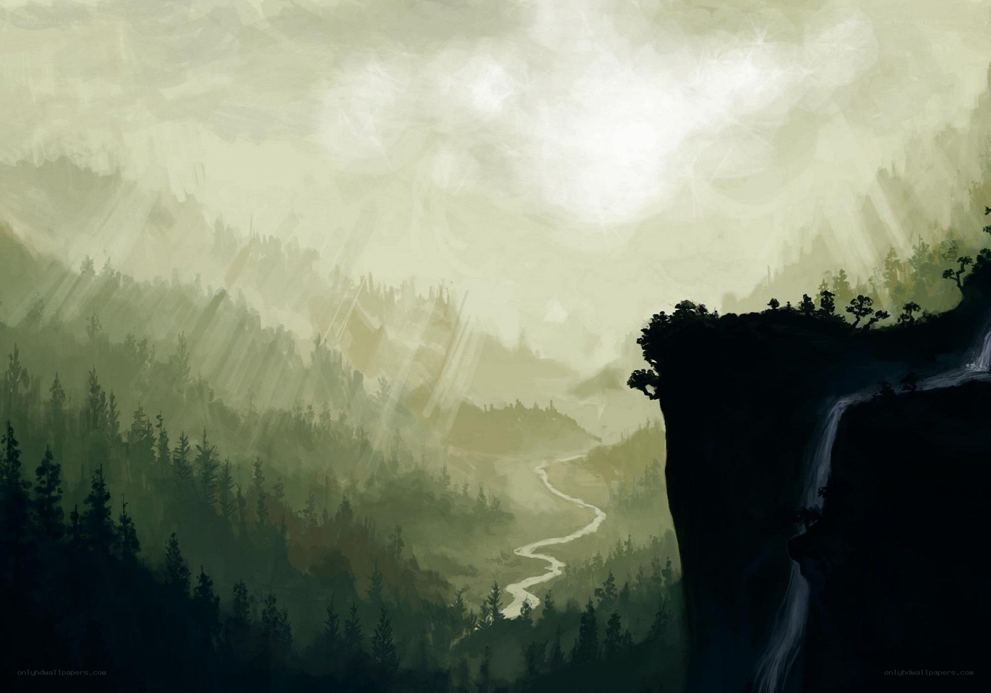 Misty forest valley landscape
