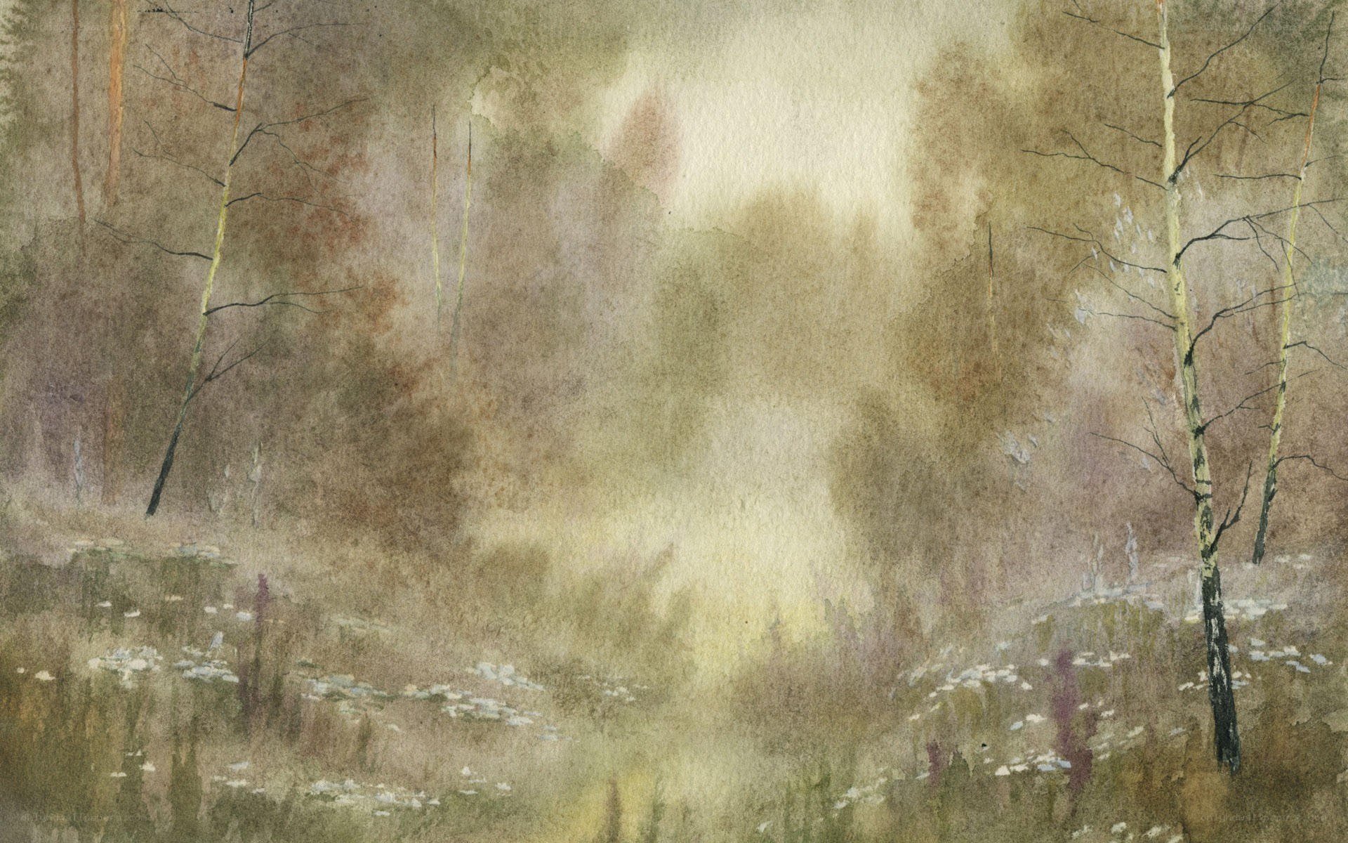 misty forest watercolor