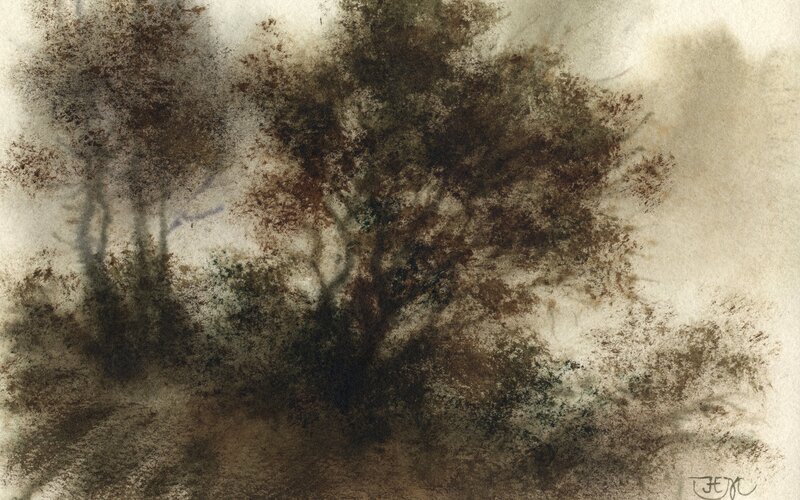 Misty forest watercolor