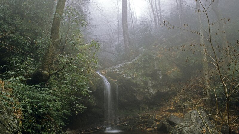 Misty forest waterfall