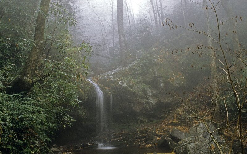 Misty forest waterfall