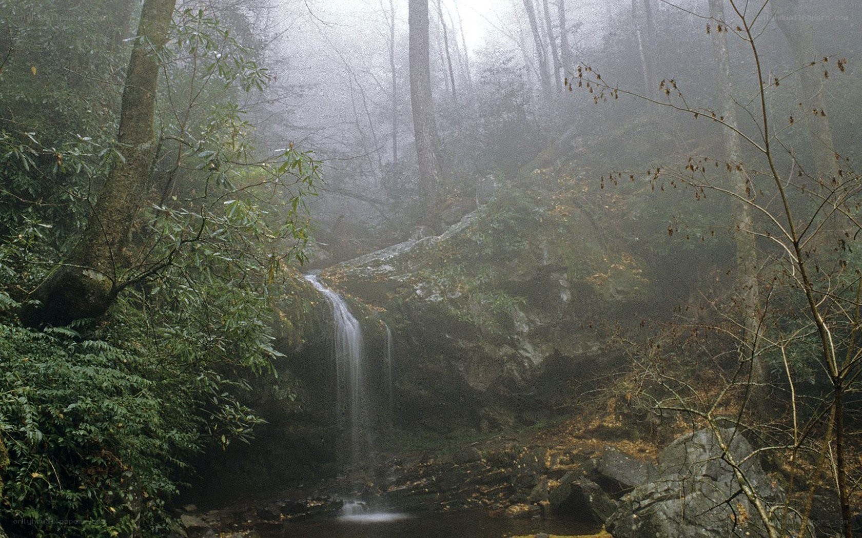 Misty forest waterfall