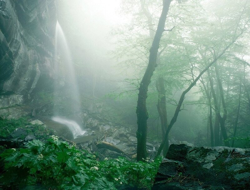 Misty forest waterfall