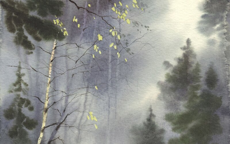 Misty Forest with Birch