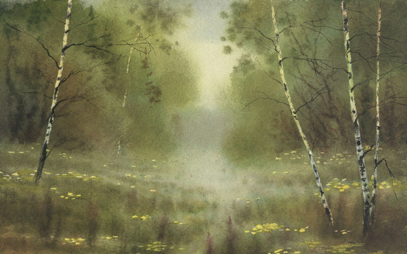 Misty forest with birch trees