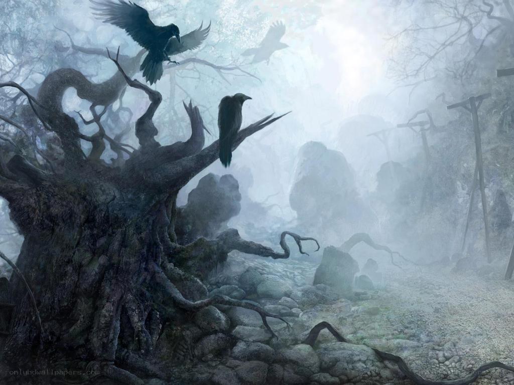 Misty forest with crows