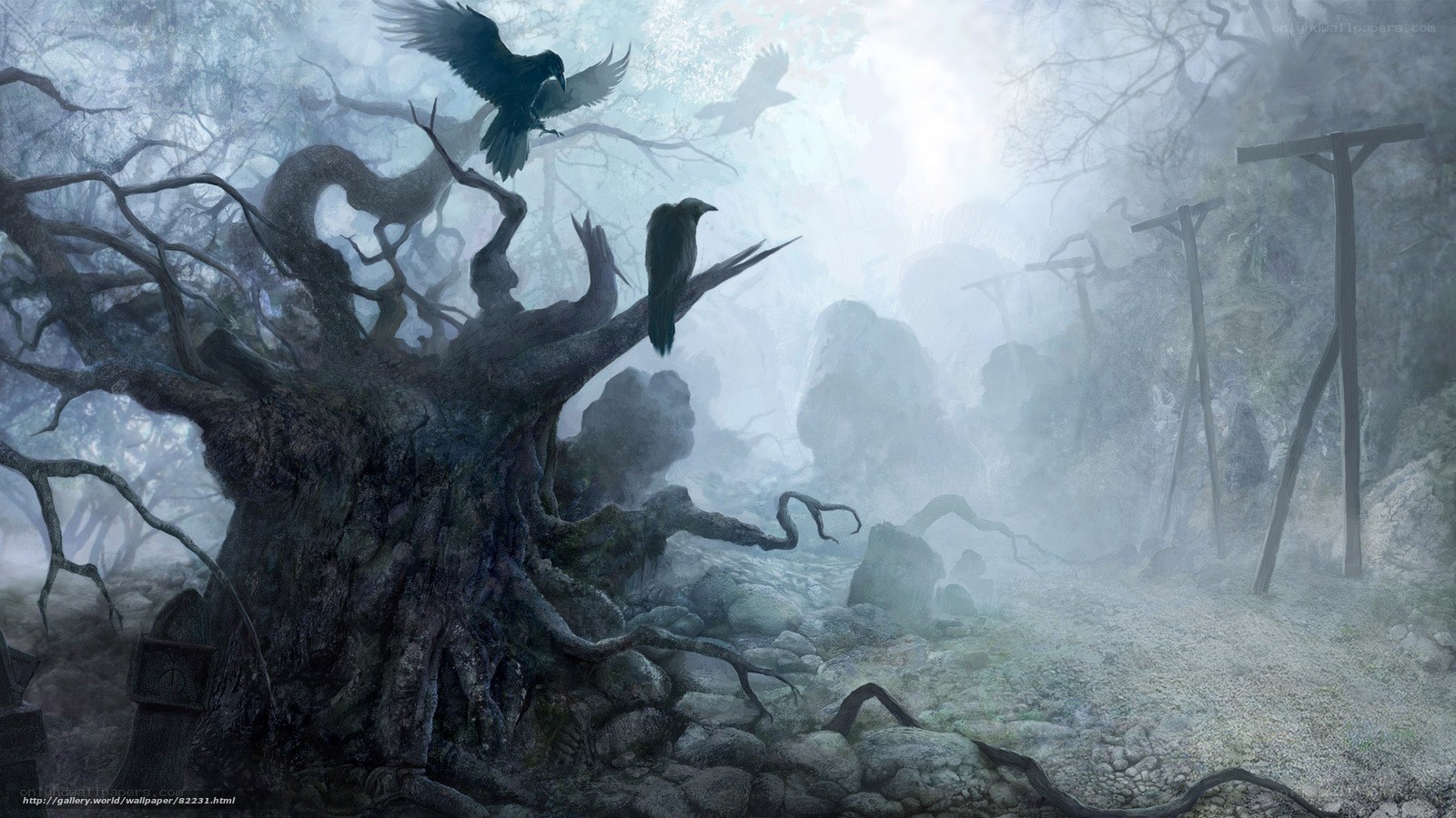 Misty forest with crows