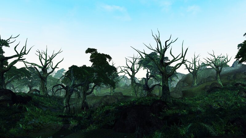 Misty forest with dead trees