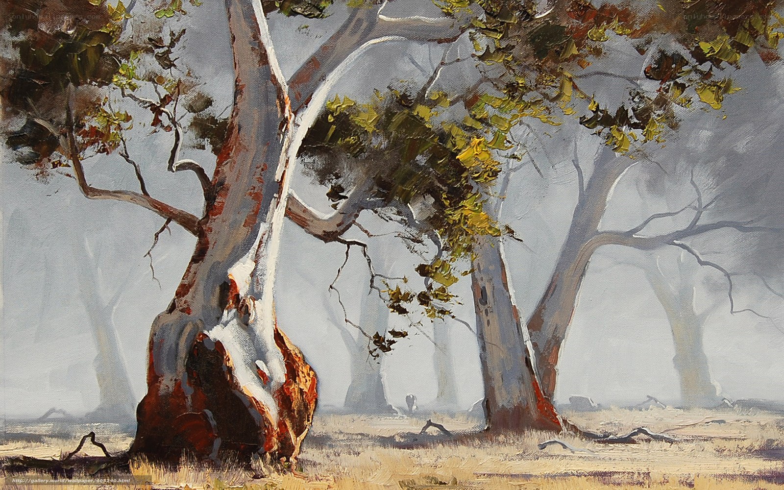 Misty forest with eucalyptus trees