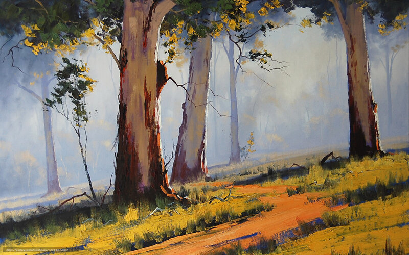 Misty forest with eucalyptus trees