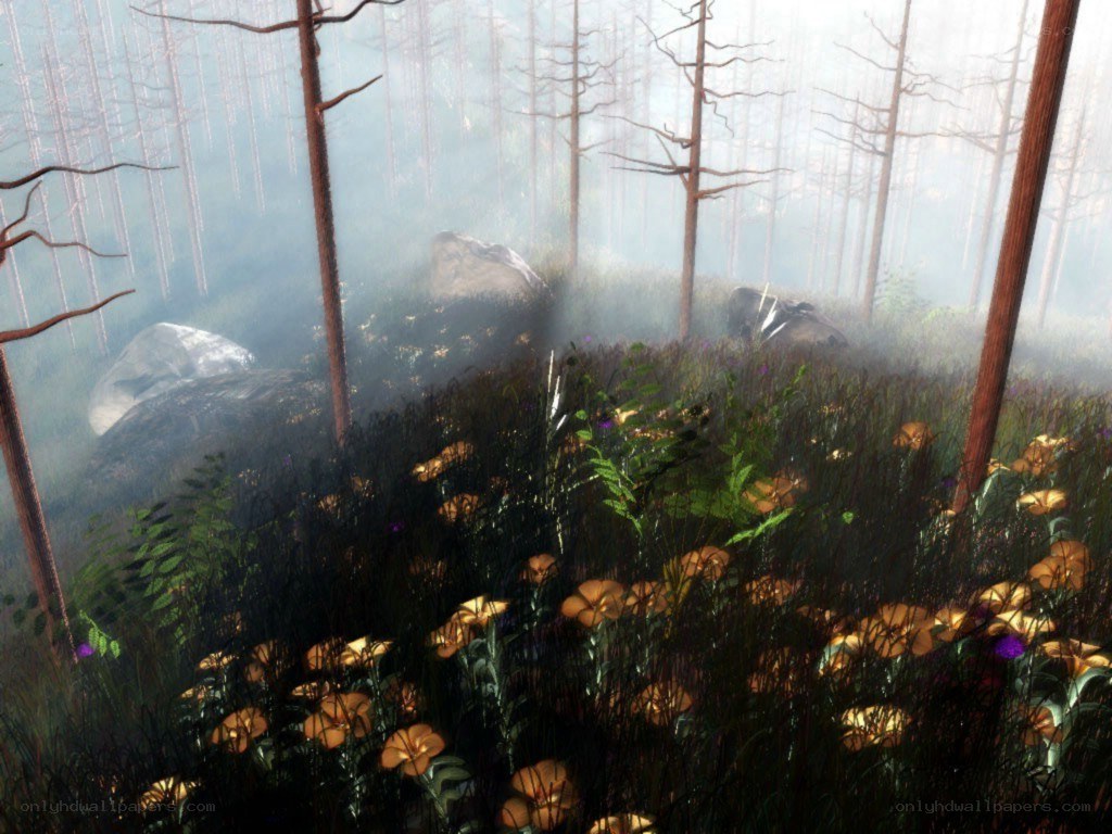 misty forest with glowing flowers