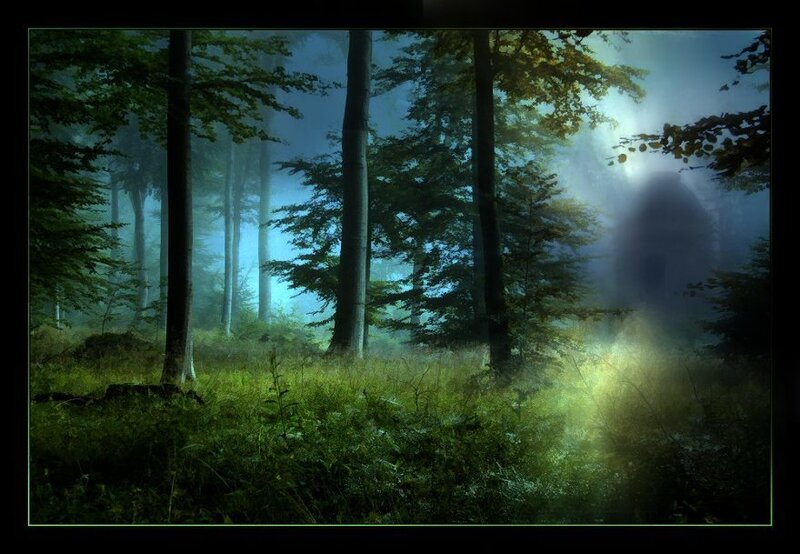 Misty forest with glowing light